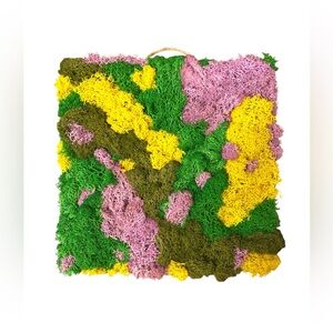 🌿Natural preserved moss wall art home decor accent luxury - only 3 available!